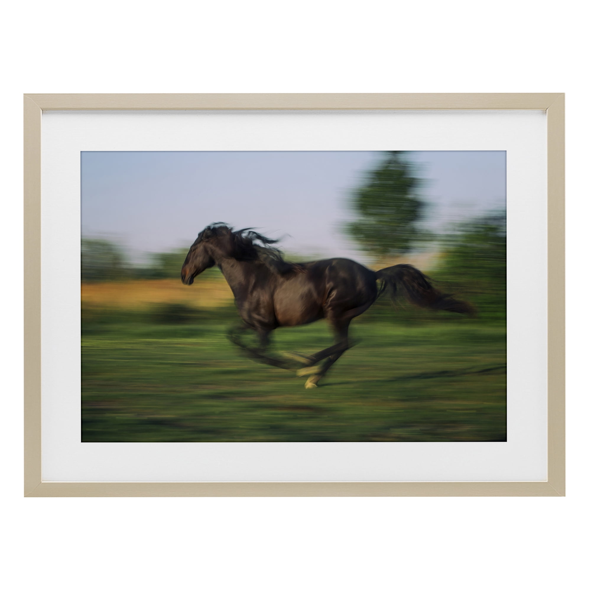 Stupell Industries Dashing Camargue Racehorse Birch Framed Print Under Glass, design by Scott Stulberg