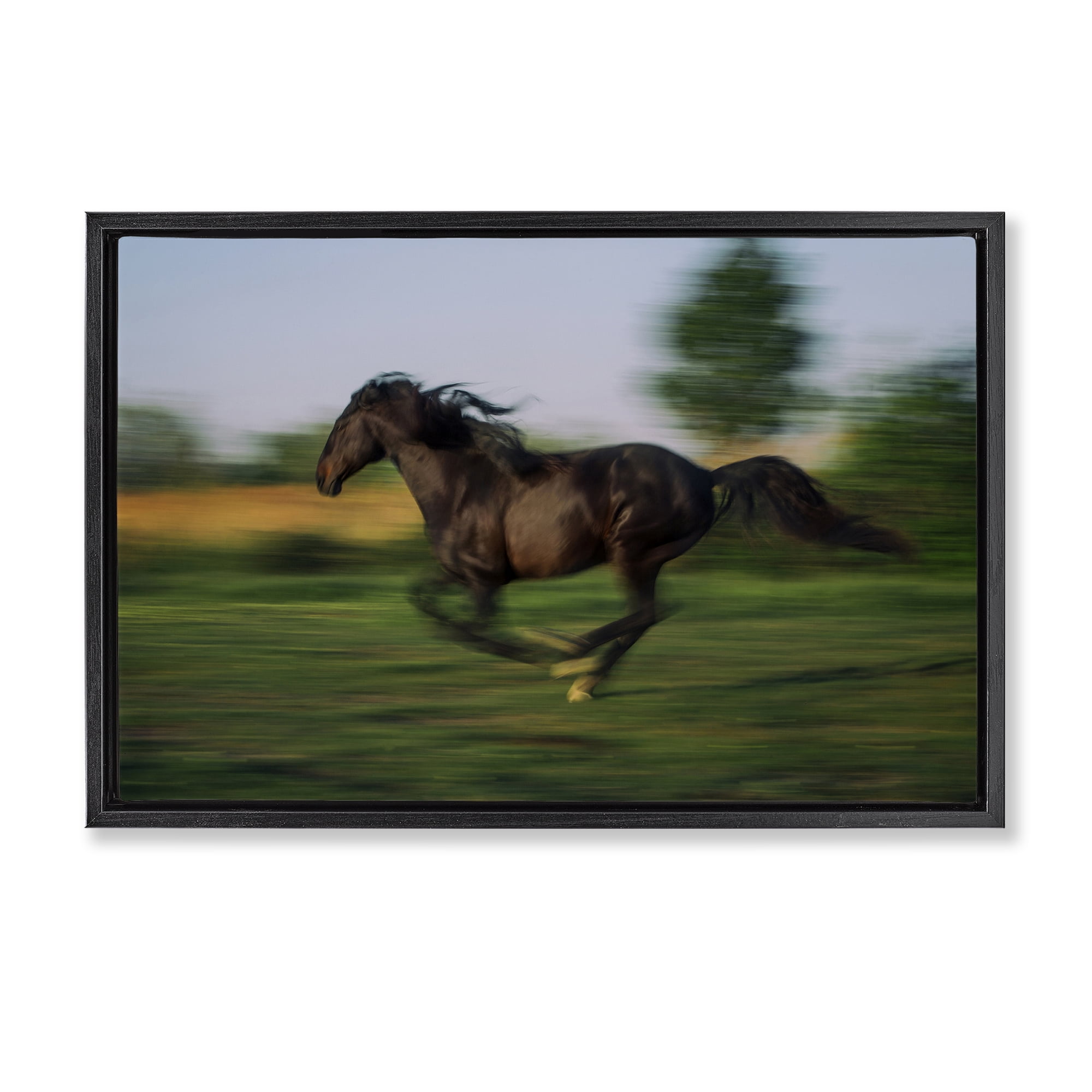 Stupell Industries Dashing Camargue Racehorse Black Framed Floater Canvas Wall Art, design by Scott Stulberg
