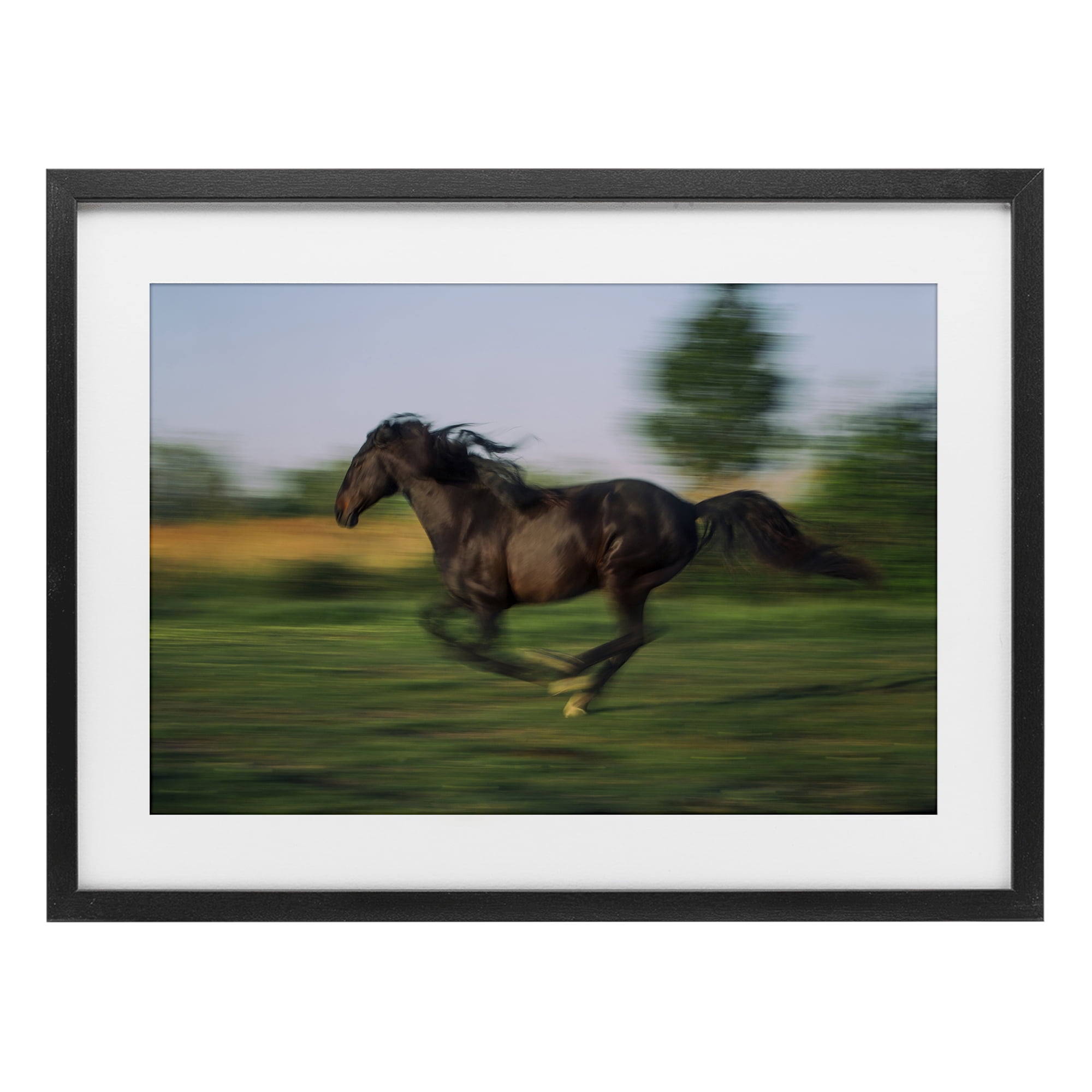 Stupell Industries Dashing Camargue Racehorse Black Framed Print Under Glass, design by Scott Stulberg