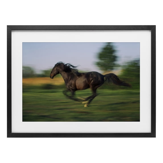 Stupell Industries Rustic Lodge Dashing Camargue Racehorse Black Framed Print Under Glass, 20 x 14, by Scott Stulberg