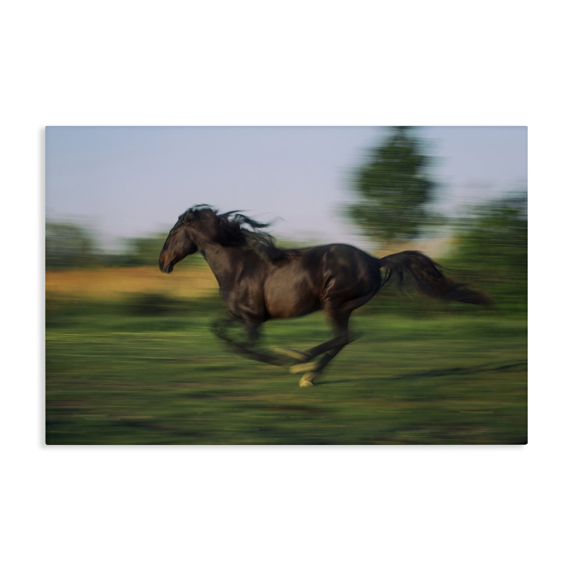 Stupell Industries Dashing Camargue Racehorse Canvas Wall Art, design by Scott Stulberg