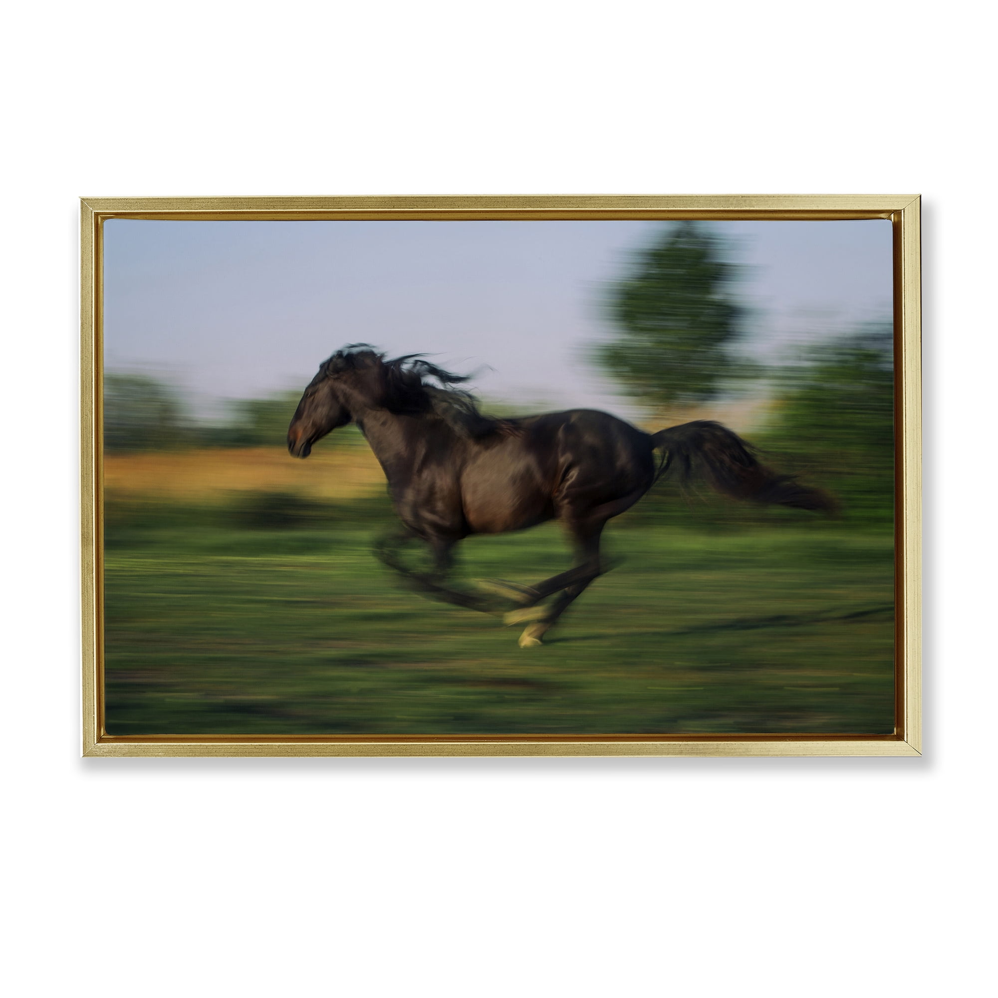 Stupell Industries Dashing Camargue Racehorse Gold Framed Floater Canvas Wall Art, design by Scott Stulberg