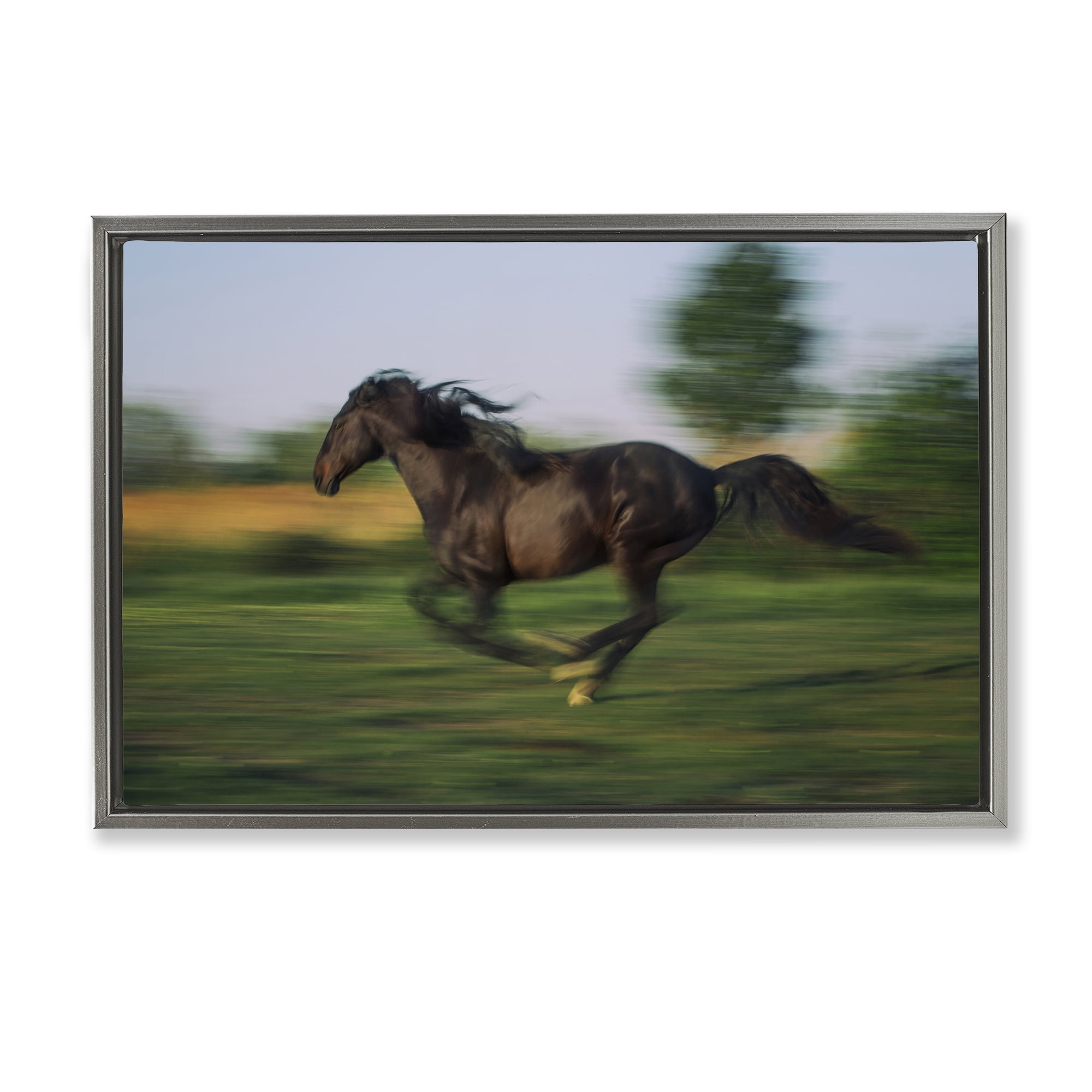Stupell Industries Dashing Camargue Racehorse Gray Framed Floater Canvas Wall Art, design by Scott Stulberg