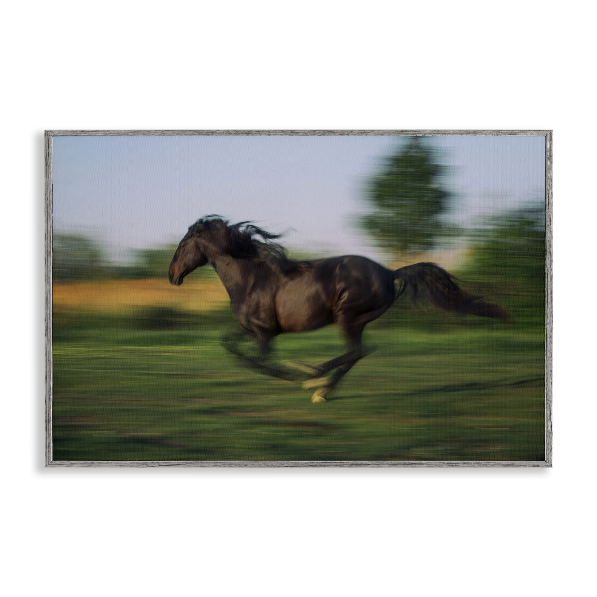 Stupell Industries Dashing Camargue Racehorse Gray Framed Giclee Art, design by Scott Stulberg