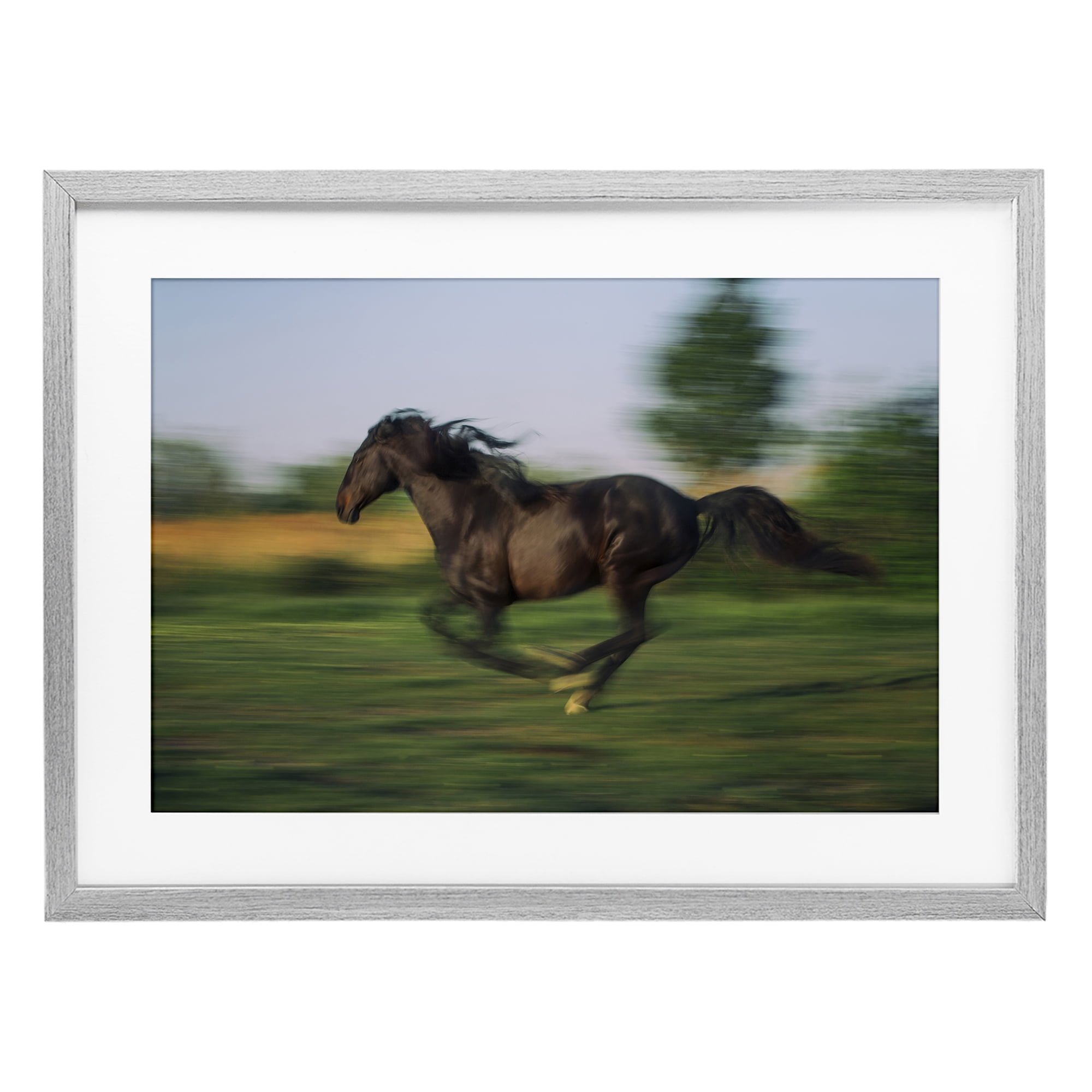 Stupell Industries Dashing Camargue Racehorse Gray Framed Print Under Glass, design by Scott Stulberg