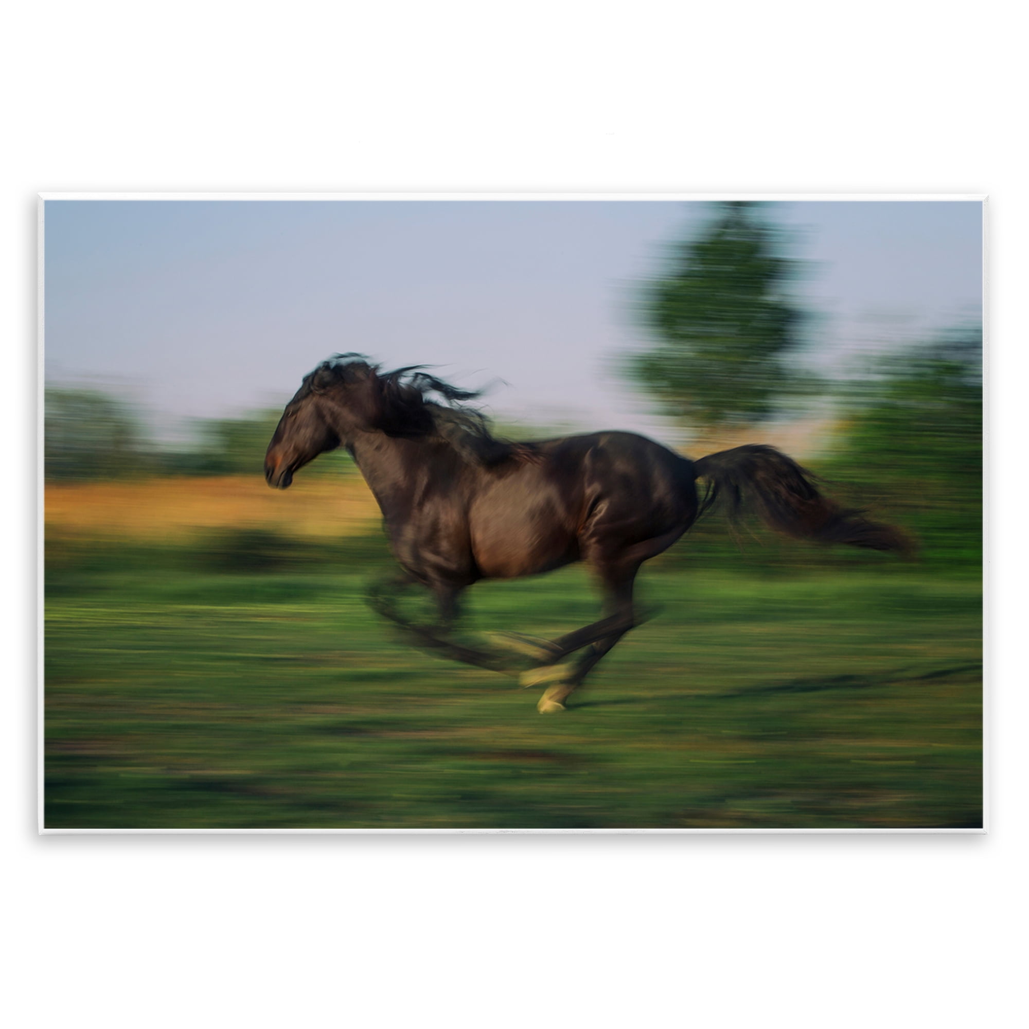 Stupell Industries Dashing Camargue Racehorse Wall Plaque Art, design by Scott Stulberg