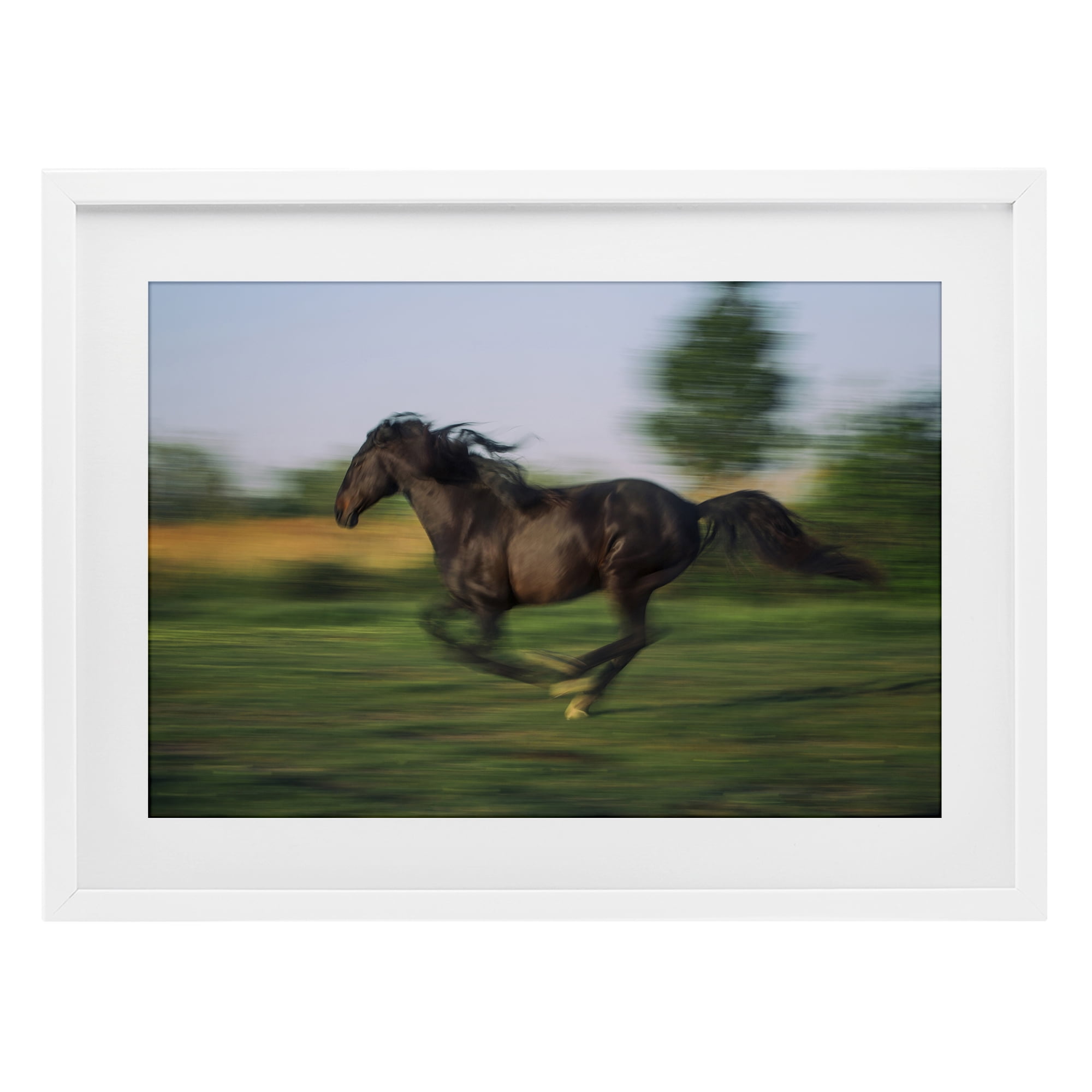 Stupell Industries Dashing Camargue Racehorse White Framed Print Under Glass, design by Scott Stulberg