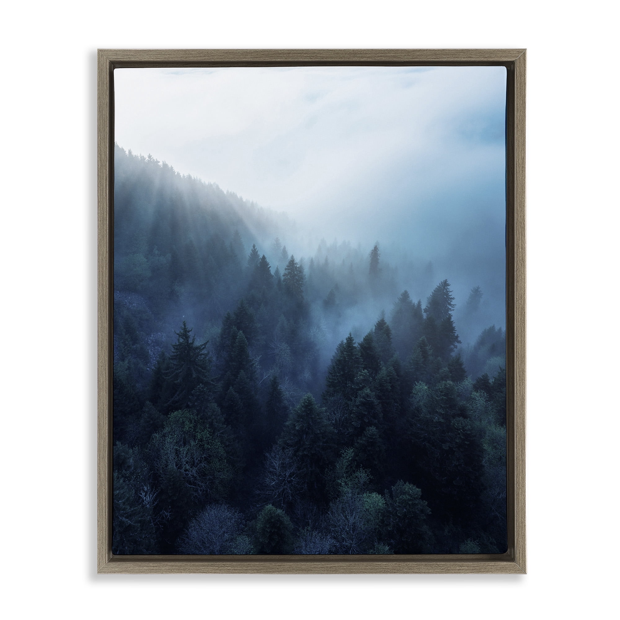 Stupell Industries Daylight over Pine Forest Landscape Photography Brown Floater Framed Canvas Art Print Wall Art, 25 x 31