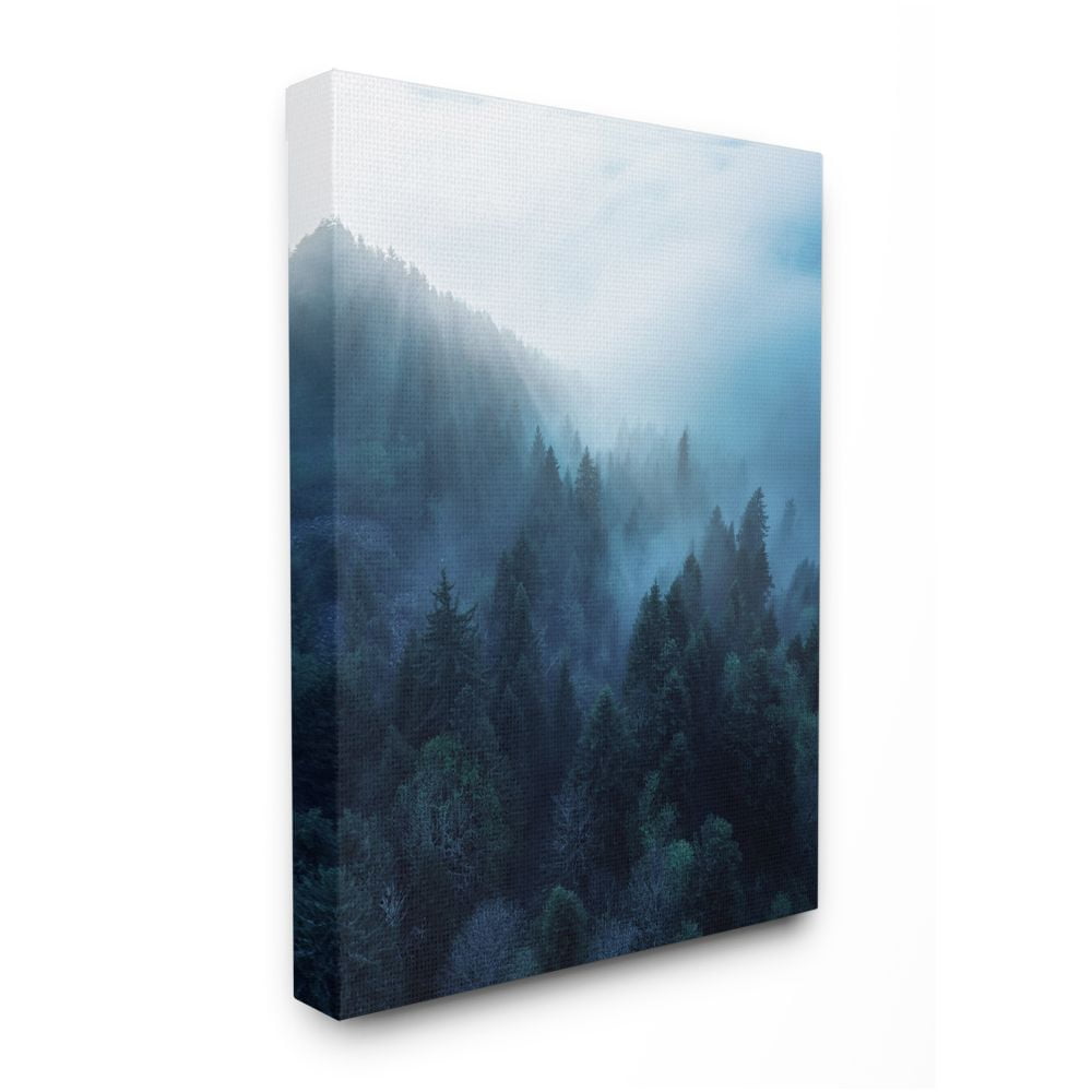 Daylight Over Pine Forest Mountain Fog Canvas Landscape Print