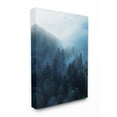 thumbnail image 1 of Stupell Industries Daylight over Pine Forest Mountain with Fog Designed by Unsplash, 1 of 6