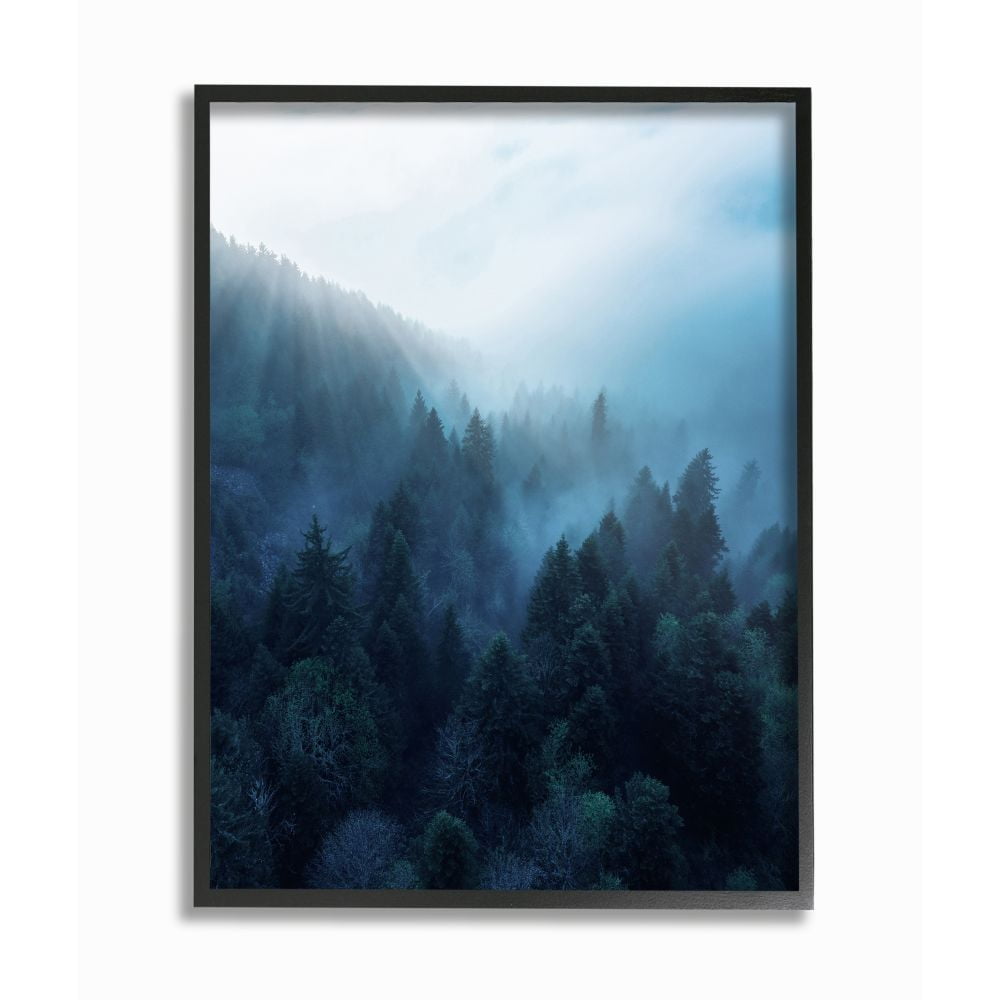 Stupell Industries Daylight over Pine Forest Mountain with Fog Designed by Unsplash