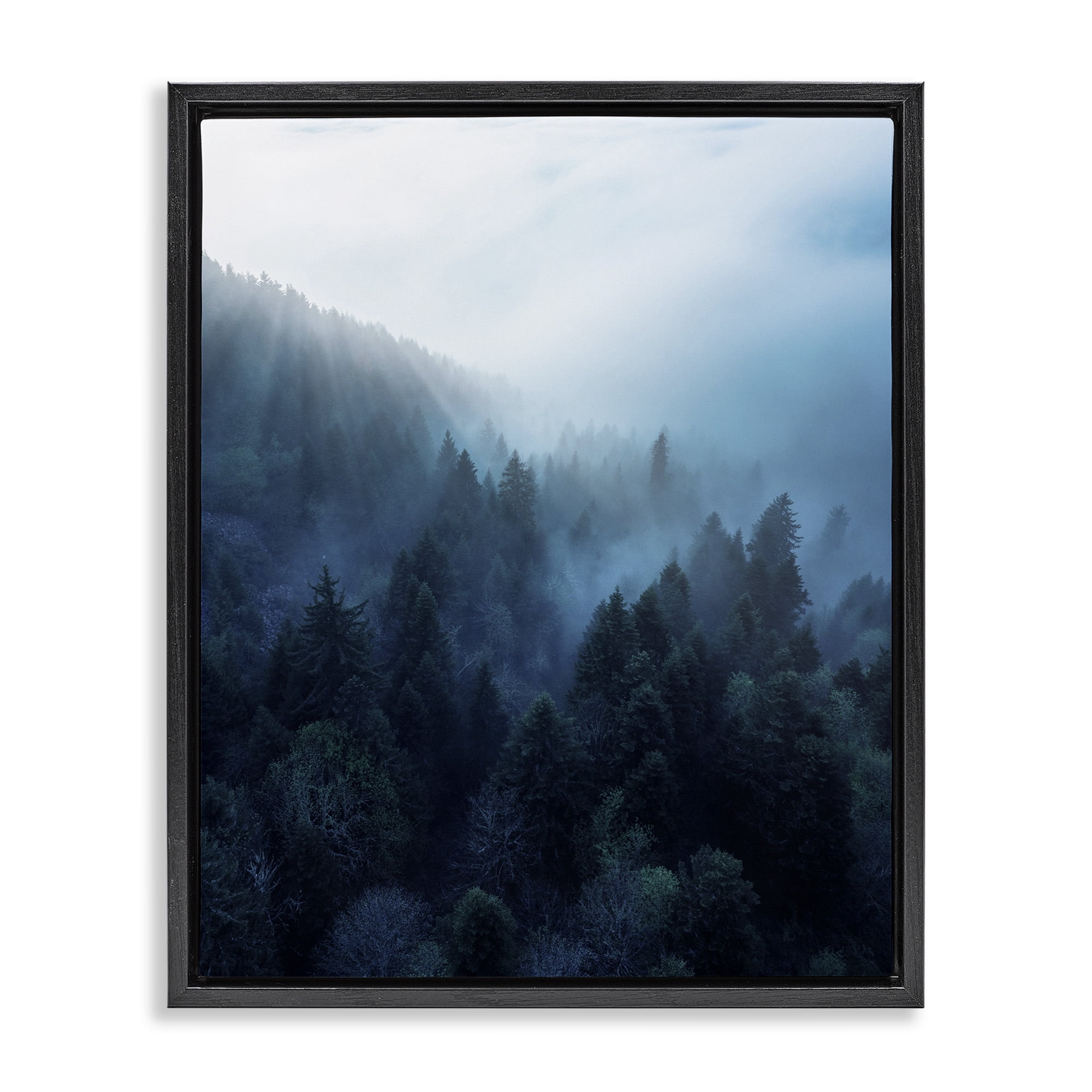 Stupell Industries Daylight over Pine Forest Mountain with Fog Jet Black Framed Floating Canvas Wall Art, 24x30, by Unsplash