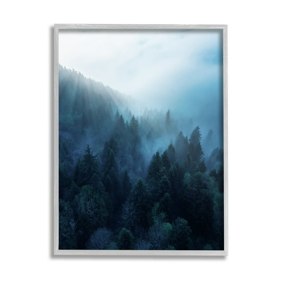Stupell Industries Daylight over Pine Forest Mountain with Fog Photography Framed Art Print Wall Art, 24x30, By Unsplash