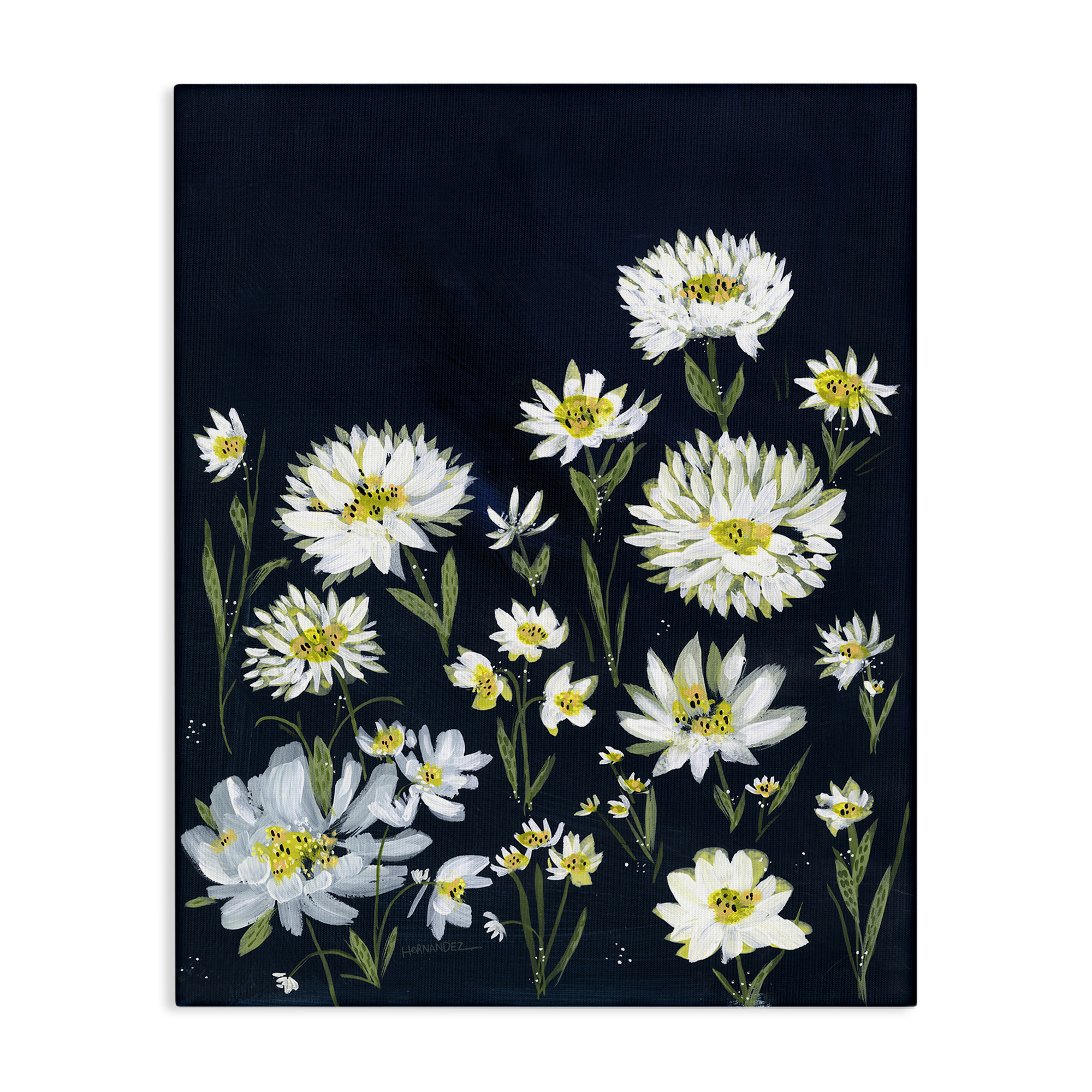 Stupell Industries Deep Meadow on Black Plants & Flowers Painting Wrapped Canvas Art Print Wall Art, 16 x 20