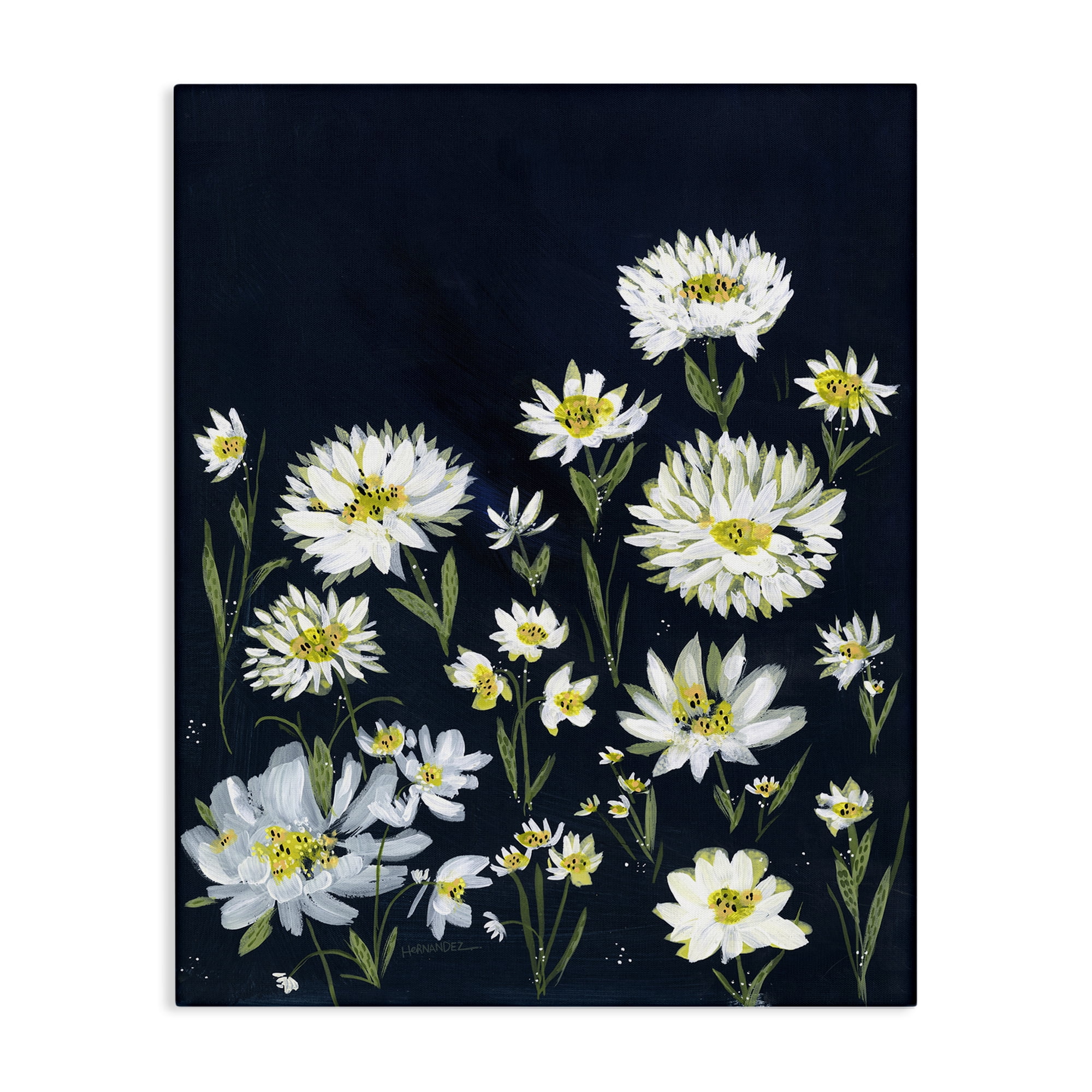 Stupell Industries Deep Meadow on Black Plants & Flowers Painting Wrapped Canvas Art Print Wall Art, 24 x 30