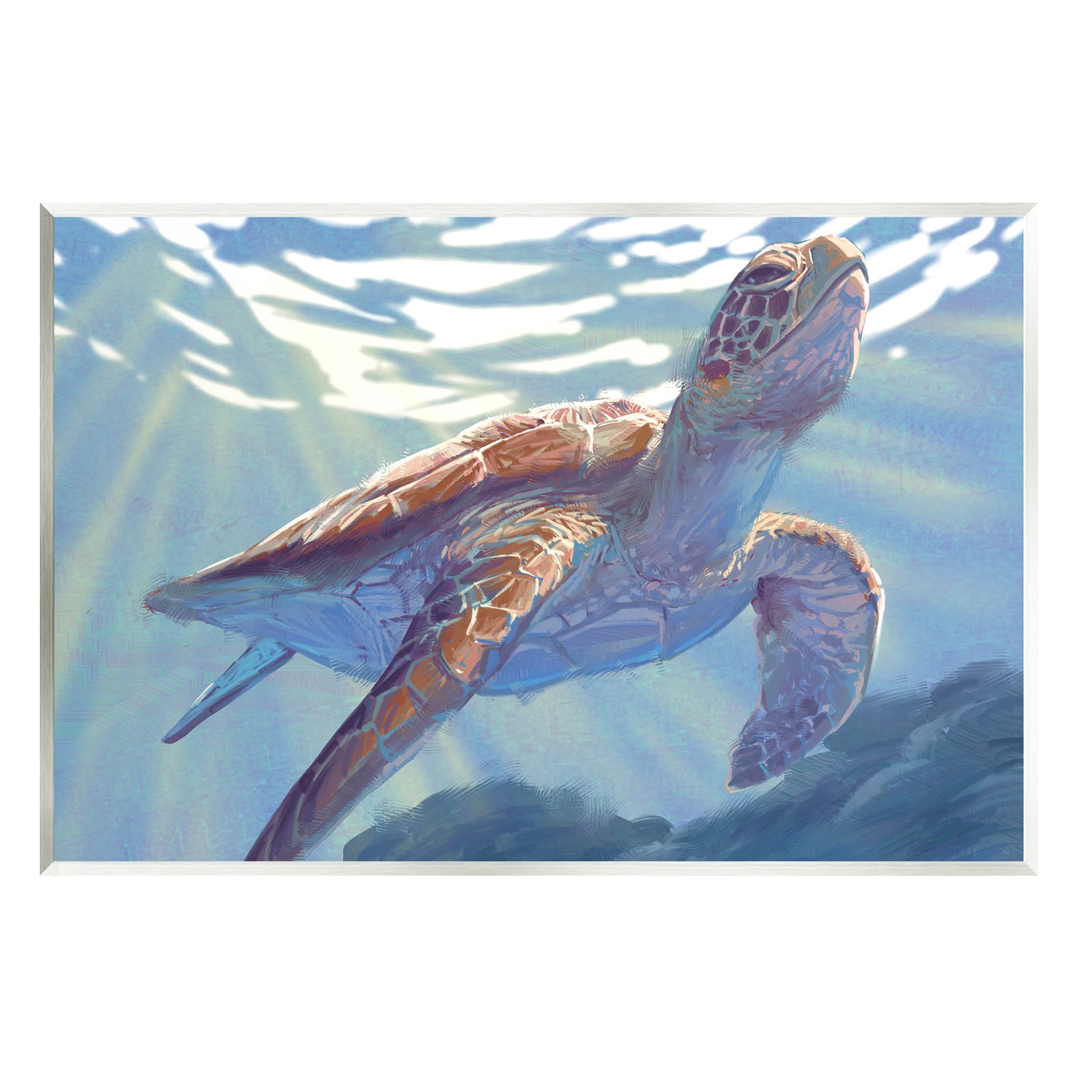 Sea turtle 2024 wall art