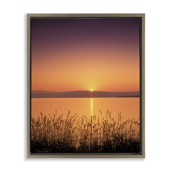 Stupell Industries Deep Orange Sunset Landscape Photography Brown Floater Framed Canvas Art Print Wall Art, 17 x 21