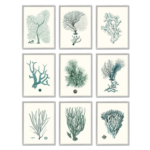 Stupell Industries Deep Sea Coral Arrangement Blue Ocean Plant Life Framed Wall Art, 11 x 14, Design by Johann Esper