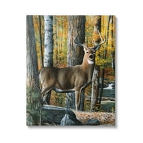 Stupell Industries Deer Among Autumn Foliage Animals & Insects Painting Gallery Wrapped Canvas Print Wall Art, 16 x 20