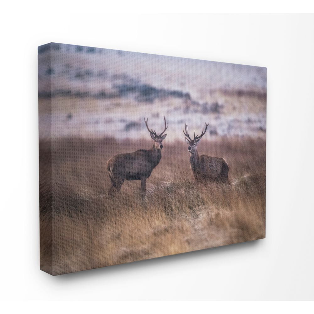 Stupell Industries Deer Couple Family Animal Landscape Photo Canvas Wall Art by Villager Jim