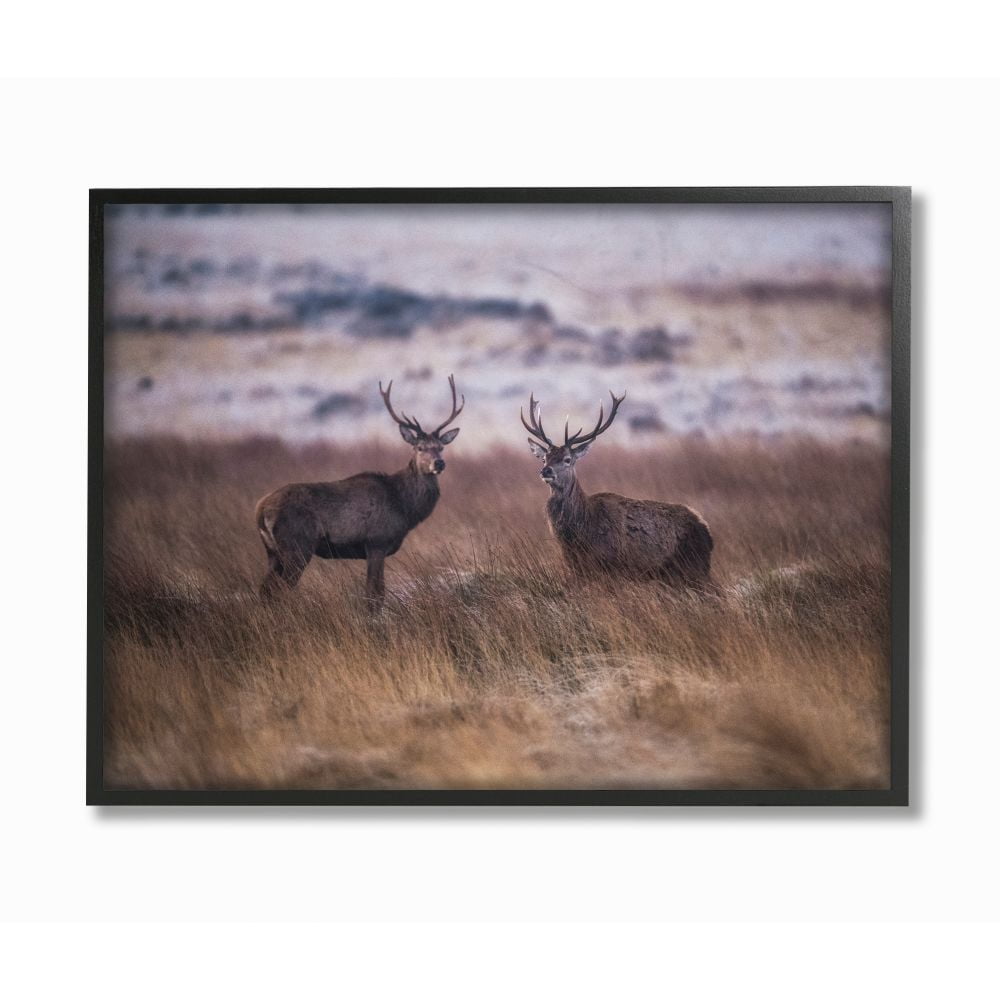 Stupell Industries Deer Couple Family Animal Landscape Photo Framed Giclee Texturized Art by Villager Jim