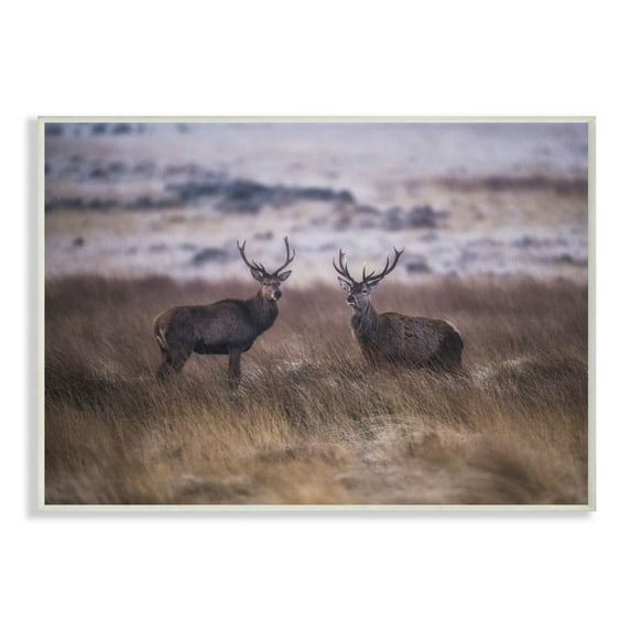 Stupell Industries Deer Couple Family Animal Landscape Photo Wall Plaque Art by Villager Jim