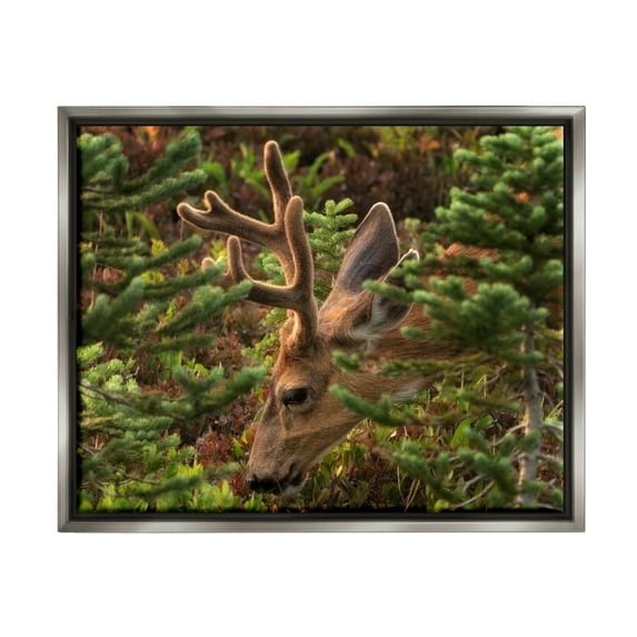 Stupell Industries Deer Forest Nature Vegetation Animals & Insects Photography Gray Floater Framed Art Print Wall Art