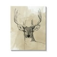 thumbnail image 1 of Stupell Industries Deer Portrait Drawing Animals & Insects Drawing Gallery Wrapped Canvas Print Wall Art, 16 x 20, 1 of 7