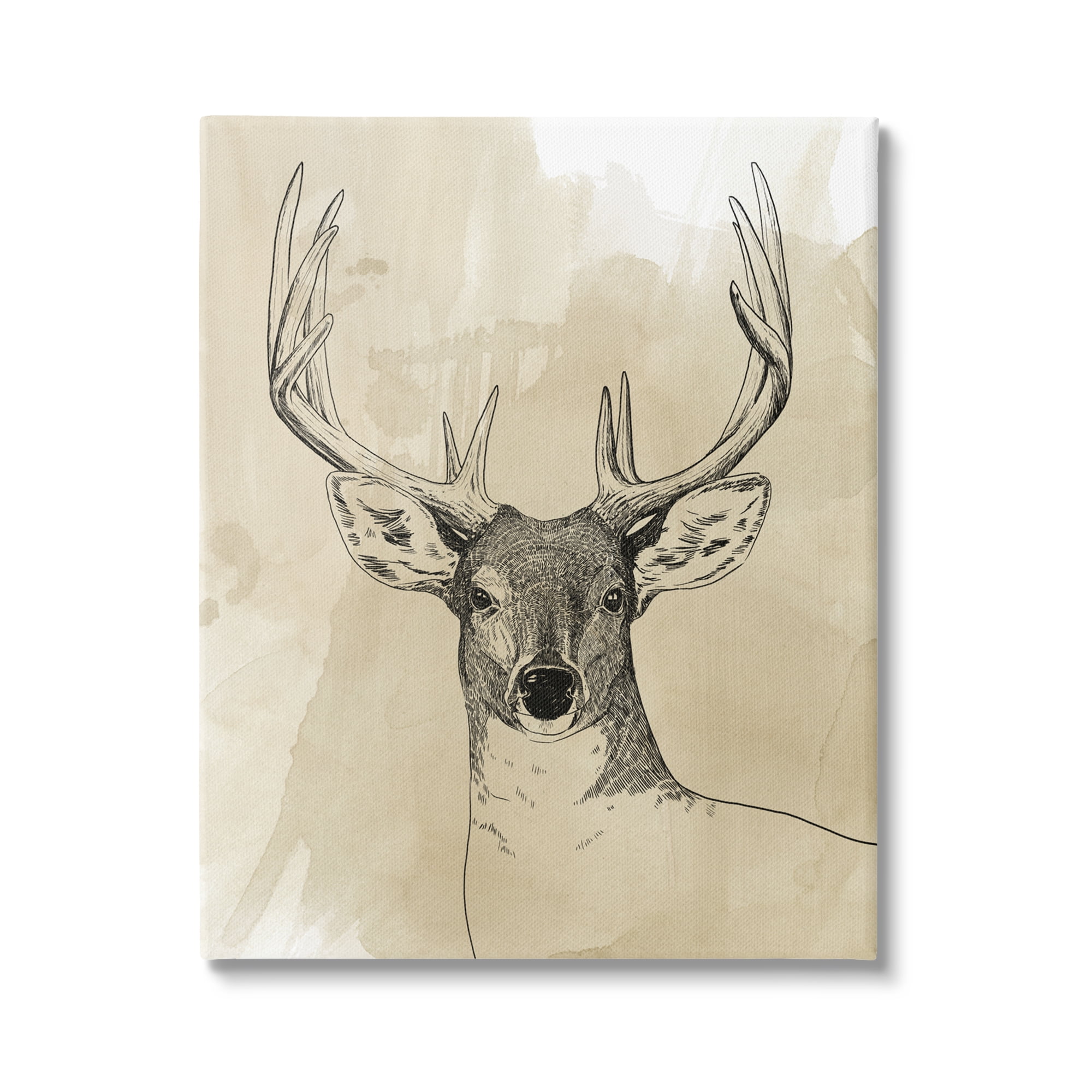 Stupell Industries Deer Portrait Drawing Animals & Insects Drawing Gallery Wrapped Canvas Print Wall Art, 36 x 48