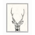 thumbnail image 1 of Stupell Industries Deer Portrait Grey Drawing Design Framed Wall Art by Victoria Borges, 1 of 8