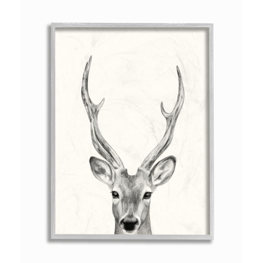Stupell Industries Deer Portrait Grey Drawing Design Framed Wall Art by Victoria Borges