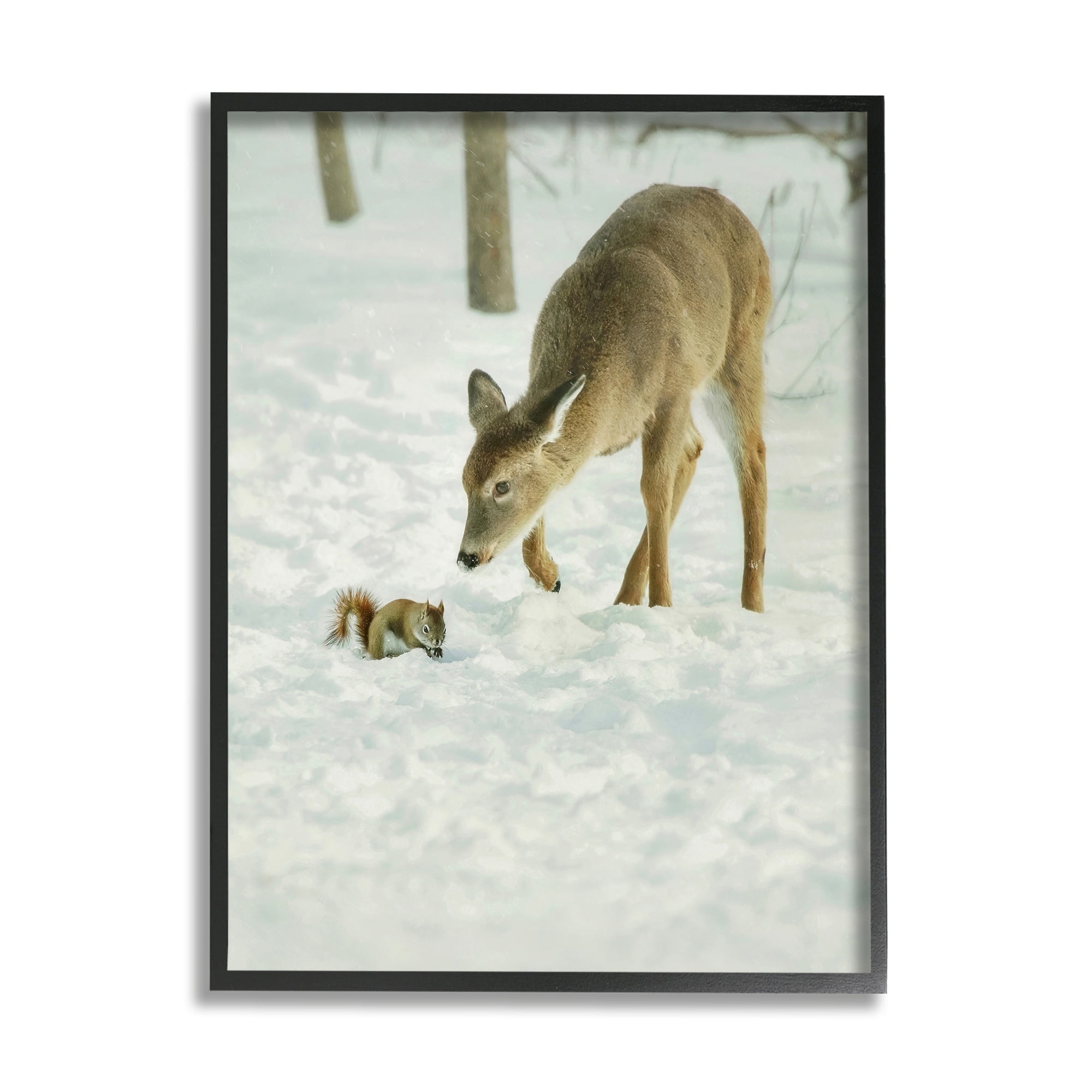 Stupell Industries Deer & Squirrel Snow Scene Animals & Insects Photography Black Framed Art Print Wall Art