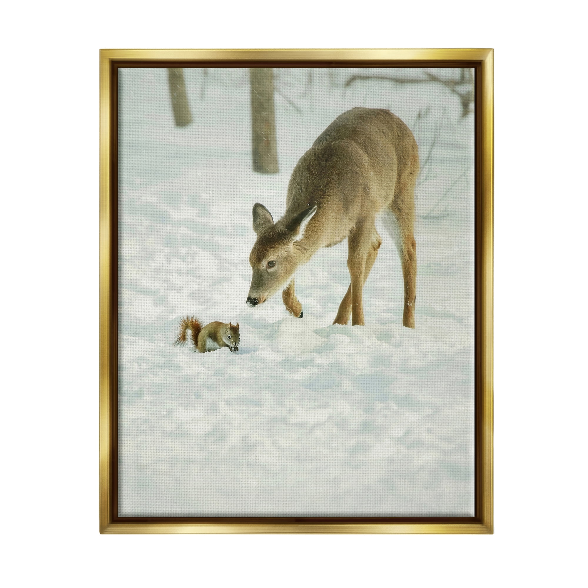 Stupell Industries Deer & Squirrel Snow Scene Animals & Insects Photography Gold Floater Framed Art Print Wall Art