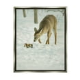 thumbnail image 1 of Stupell Industries Deer & Squirrel Snow Scene Animals & Insects Photography Gray Floater Framed Art Print Wall Art, 1 of 6