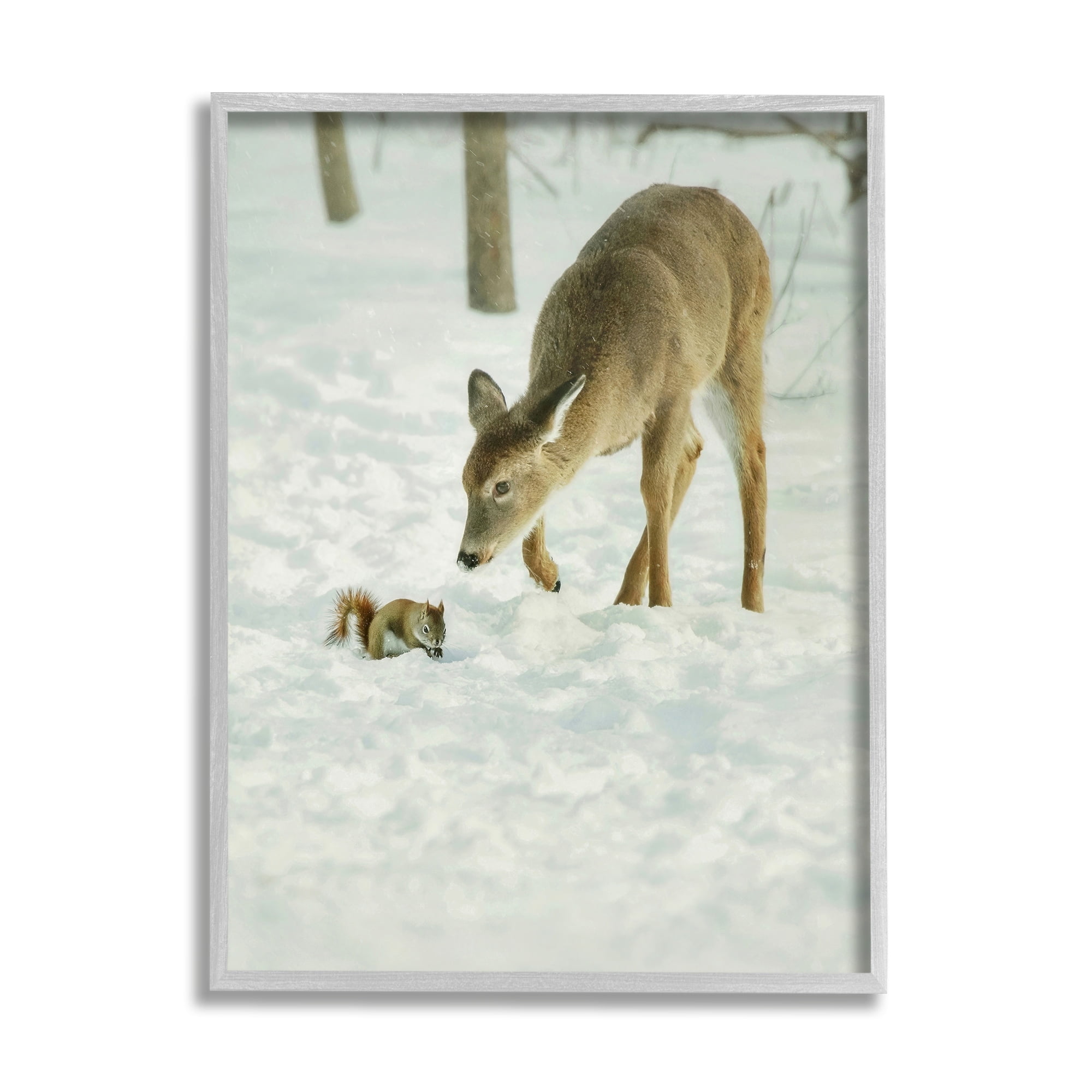 Stupell Industries Deer & Squirrel Snow Scene Animals & Insects Photography Gray Framed Art Print Wall Art