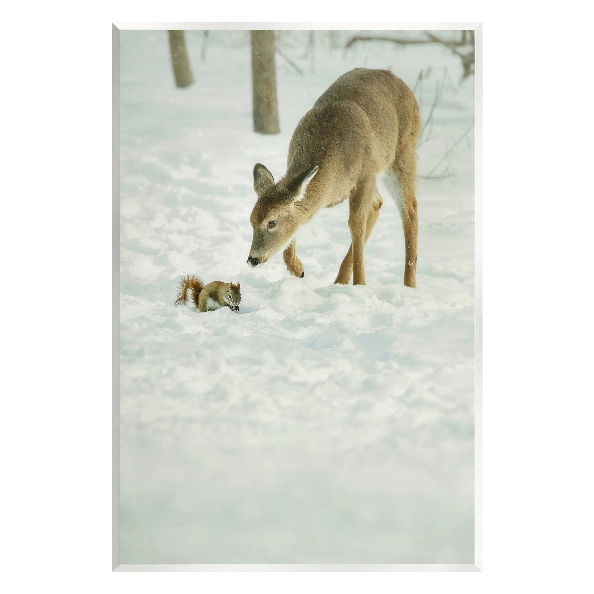Stupell Industries Deer & Squirrel Snow Scene Animals & Insects Photography Unframed Art Print Wall Art