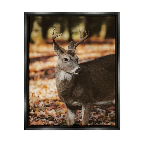 Stupell Industries Deer in Fall Foliage Animals & Insects Photography Black Floater Framed Art Print Wall Art, 17 x 21
