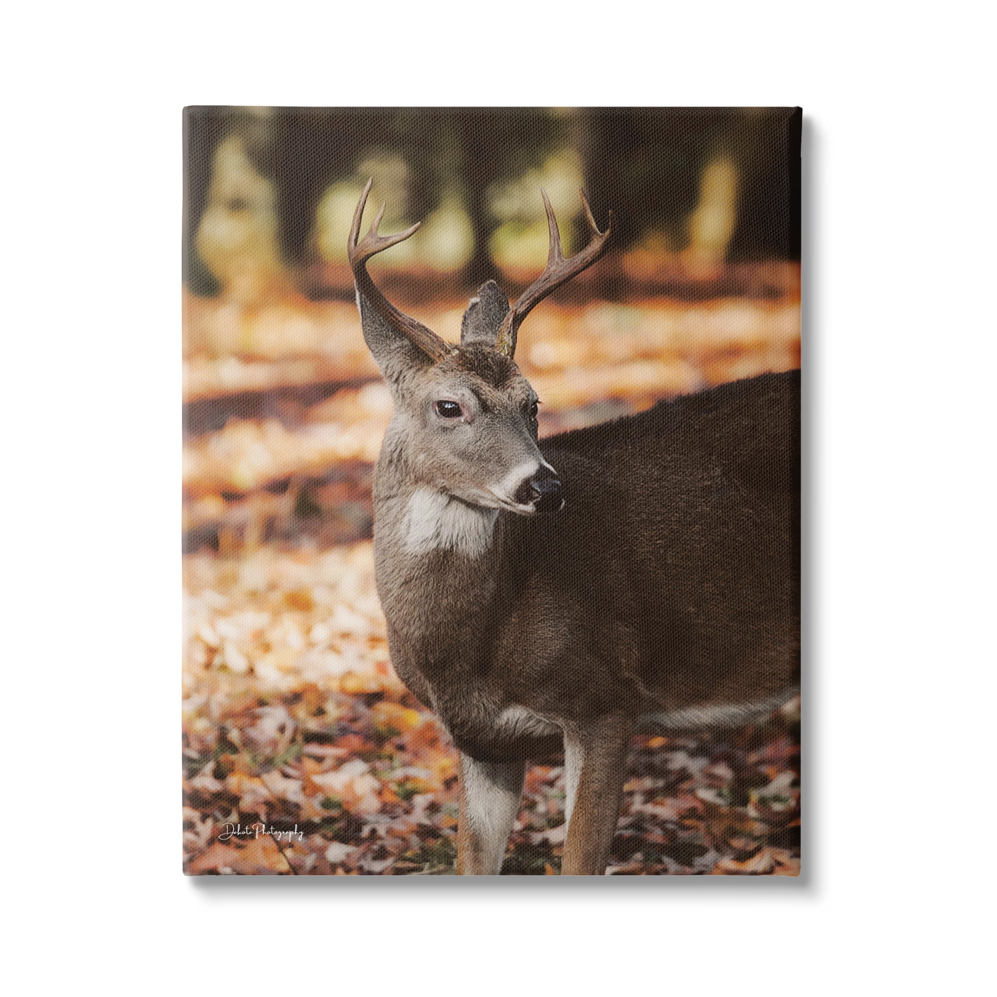 Stupell Industries Deer in Fall Foliage Animals & Insects Photography Gallery Wrapped Canvas Print Wall Art, 16 x 20