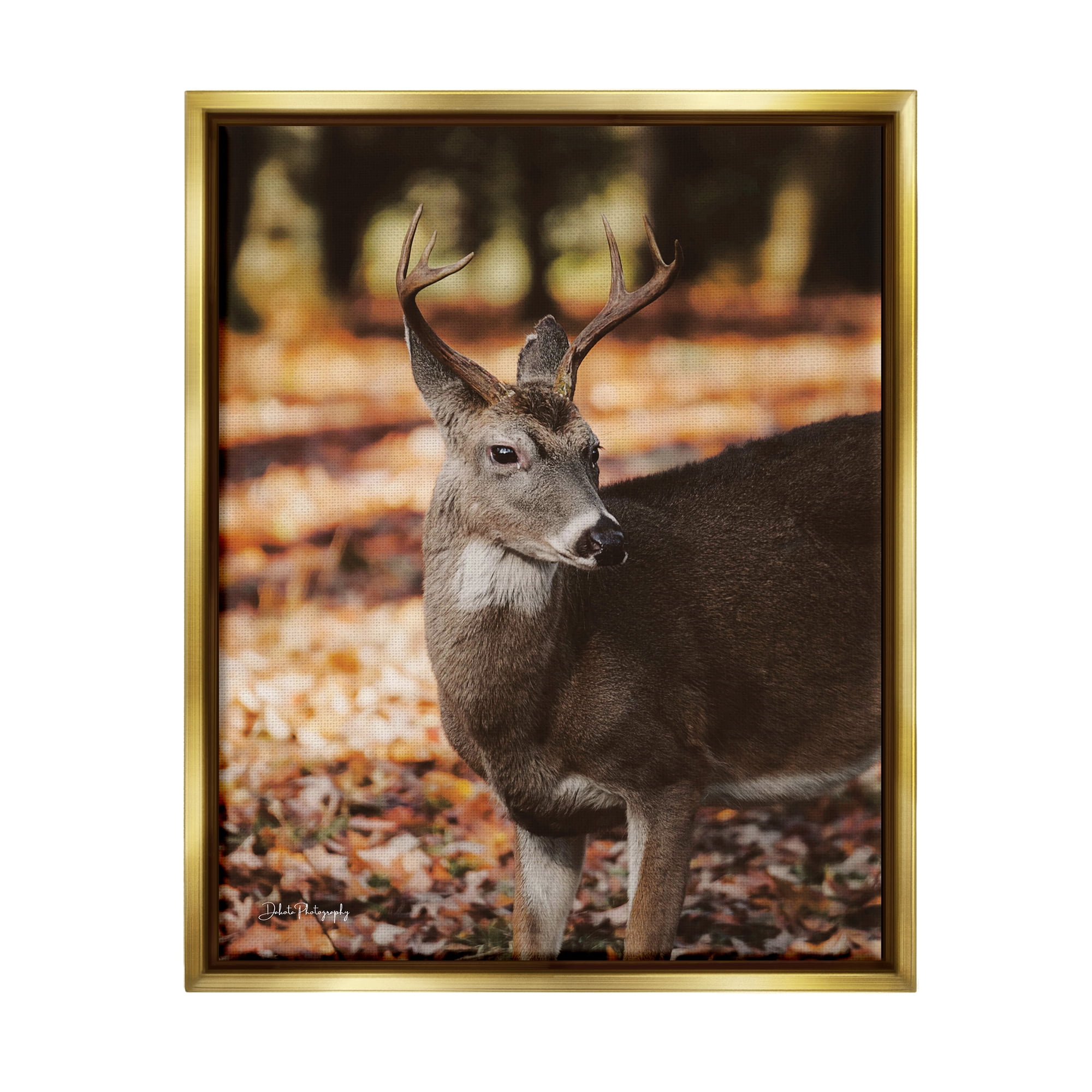 Stupell Industries Deer in Fall Foliage Animals & Insects Photography Gold Floater Framed Art Print Wall Art, 17 x 21