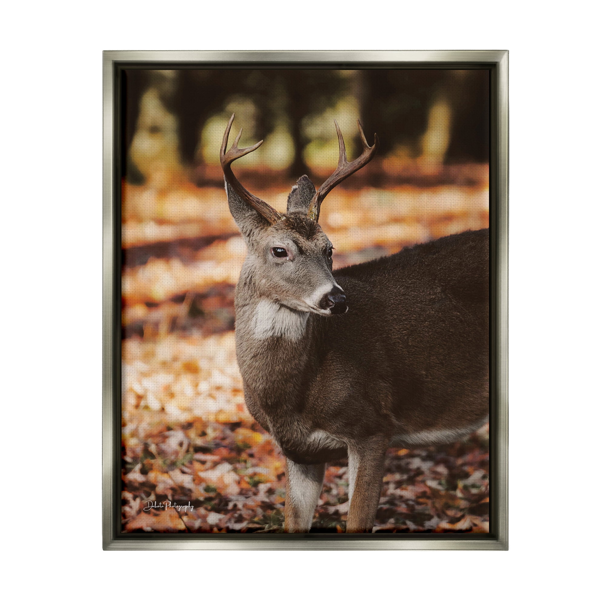 Stupell Industries Deer in Fall Foliage Animals & Insects Photography Gray Floater Framed Art Print Wall Art, 25 x 31