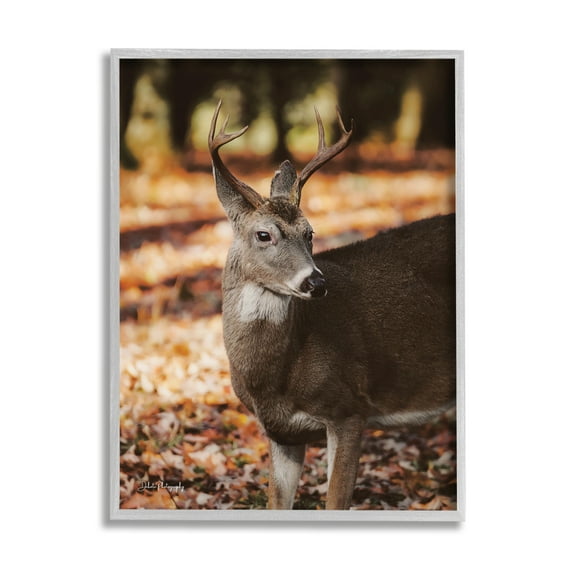 Stupell Industries Deer in Fall Foliage Animals & Insects Photography Gray Framed Art Print Wall Art, 16 x 20