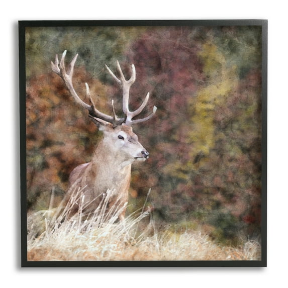 Stupell Industries Deer in Forest Nature Animals & Insects Painting Black Framed Art Print Wall Art, 24 x 24