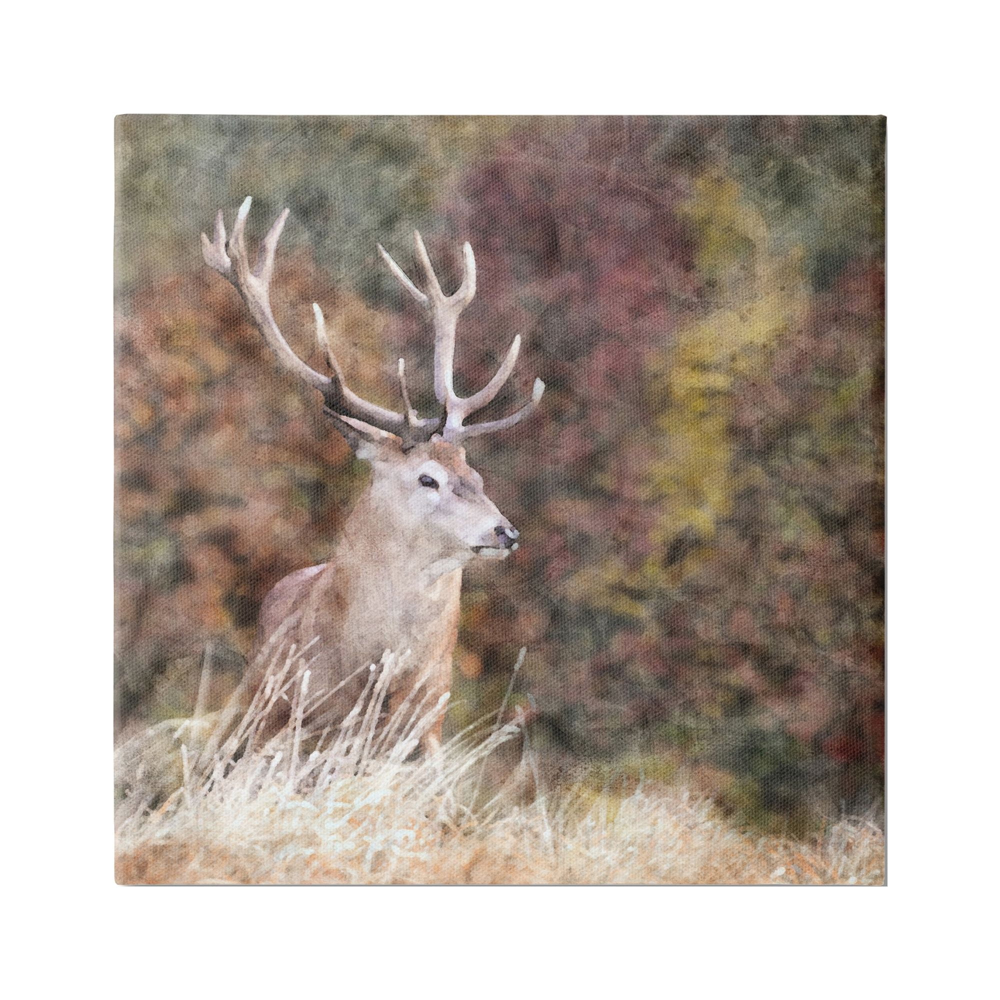 Stupell Industries Deer in Forest Nature Animals & Insects Painting Gallery Wrapped Canvas Print Wall Art, 30 x 30