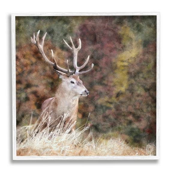 Stupell Industries Deer in Forest Nature Animals & Insects Painting White Framed Art Print Wall Art, 17 x 17