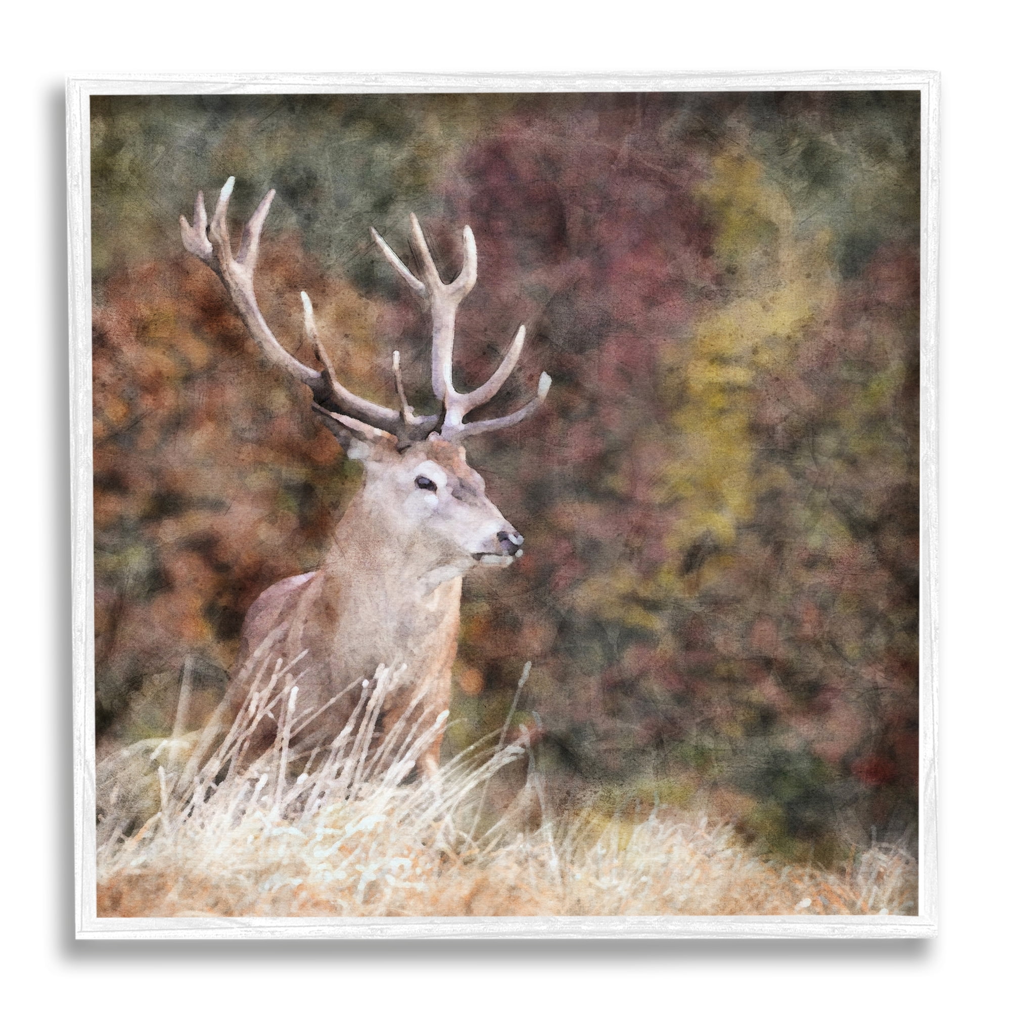 Stupell Industries Deer in Forest Nature Animals & Insects Painting White Framed Art Print Wall Art, 24 x 24