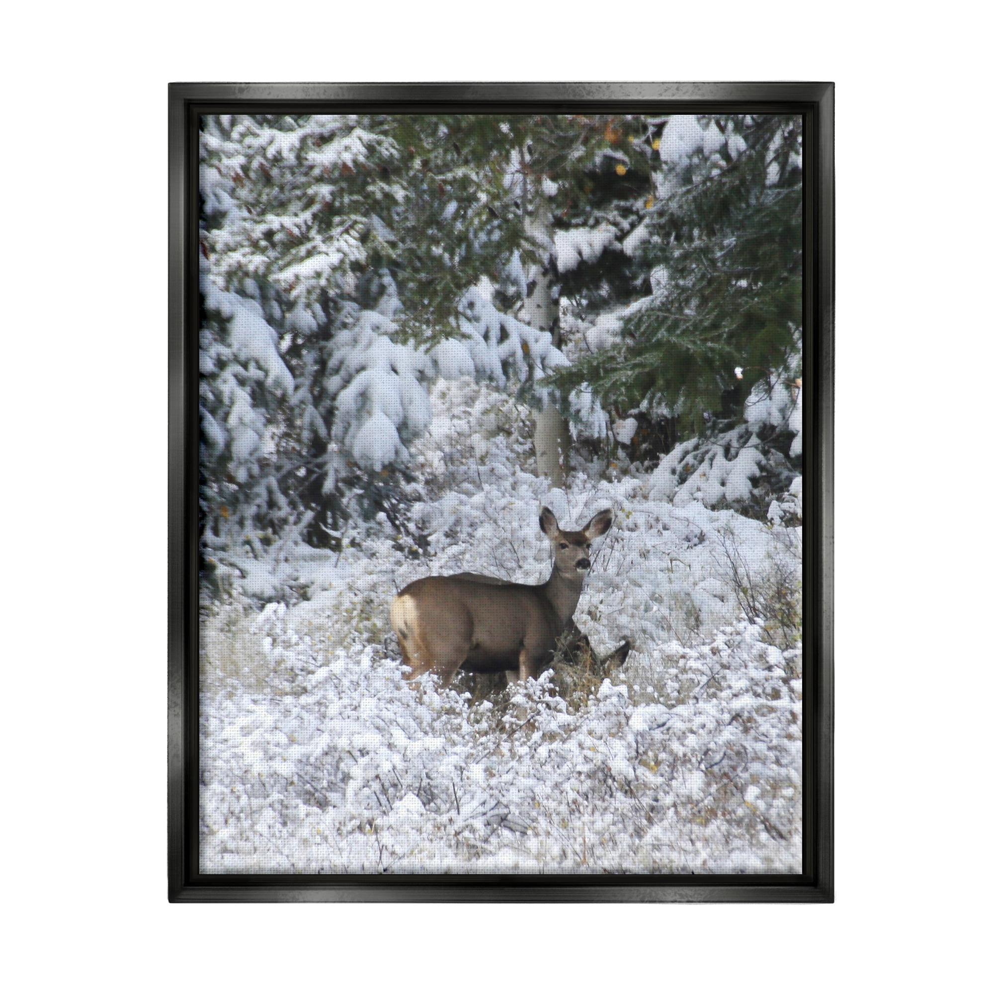 Stupell Industries Deer in Winter Trees Animals & Insects Photography Black Floater Framed Art Print Wall Art, 25 x 31