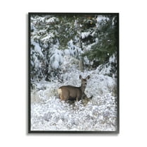 Stupell Industries Deer in Winter Trees Animals & Insects Photography Black Framed Art Print Wall Art, 11 x 14