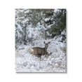 thumbnail image 1 of Stupell Industries Deer in Winter Trees Animals & Insects Photography Gallery Wrapped Canvas Print Wall Art, 16 x 20, 1 of 7
