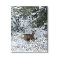 Stupell Industries Deer in Winter Trees Animals & Insects Photography Gallery Wrapped Canvas Print Wall Art, 16 x 20