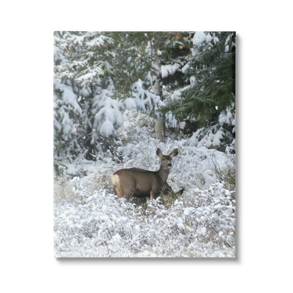 Stupell Industries Deer in Winter Trees Animals & Insects Photography Gallery Wrapped Canvas Print Wall Art, 24 x 30